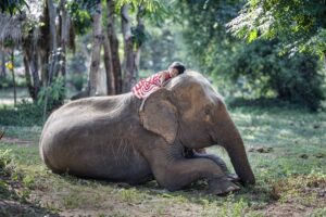 tailandia_10