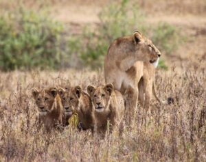 tanzania_03