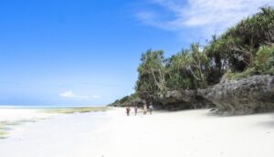 zanzibar_03